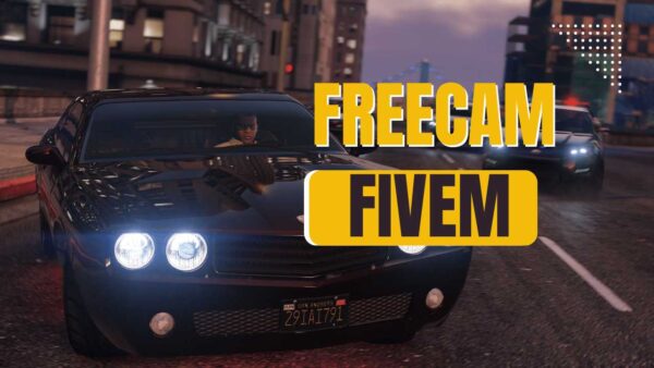 fivem FREECam