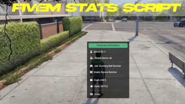 fivem stats script