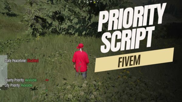 priority script fivem